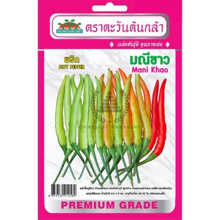 เมล็ดพันธุ์ พริก มณีขาว 0.5 กรัม/ซอง ตราตะวันต้นกล้า