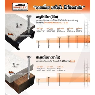 Profast สกรูยึดไม้ฝา โปรฟาส ไฟเบอร์ซีเมนต์ สกรูยึดไม้พื้น ไม้ฝา ไม้ระแนง ไม้รั้ว ไม้เชิงชาย