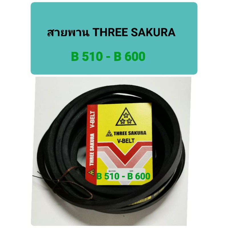 สายพาน THREE SAKURA V BELT สายพานร่องB 3ดาว B510-B600 สายพานดึงน้ำ B530 B550 B570 B590 B600