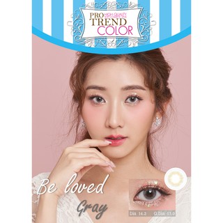 Protrend Color คอนแทคเลนส์ รุ่น Be loved Gray