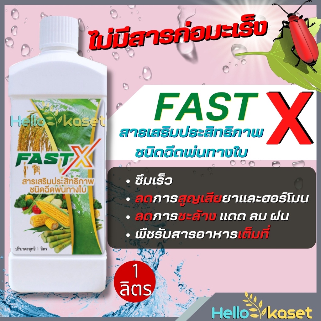 สารจับใบฟาสเอ็กซ์ น้ำยาจับใบ สารเสริมประสิทธิภาพ ชนิดฉีดพ่นทางใบ ซึมเร็ว ใช้ดีจริง ขนาด 1 ลิตร