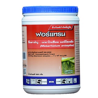 ฟอร์แทรน(เมธาไรเซียม) ขนาดบรรจุ 500 กรัม เป็นจุลินทรีย์ชีวภาพกำจัดปลวก เพลี้ย หนอนด้วง แมลงศัตรูพืช