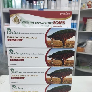 Puricas Dragon s Blood 8 gram เจลรักษาแผลเป็น ขายดีที่สุด.