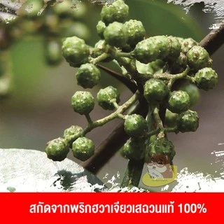 น้ำมันฮวาเจียว(หม่าล่า) หอมเผ็ดชา สำหรับหมักปิ้งย่าง ผัด นำเข้าจากเสฉวน (380ml) (B306)