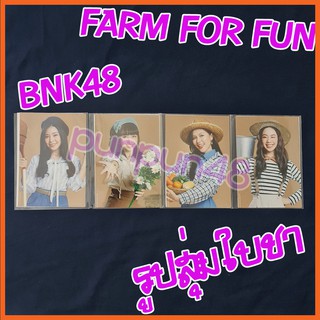 [1/3] BNK48 รูปสุ่ม แอคพิเศษ FARM FOR FUN ใบชา เฌอปราง ปัญ เนย น้ำหนึ่ง มินมิน มิวนิค ตาหวาน จีจี้ มีเก็บเงินปลายทาง