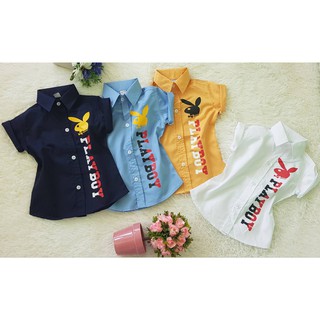 เสื้อเชิ้ตแขนสั้นเด็ก คอปก สกรีน กระต่าย