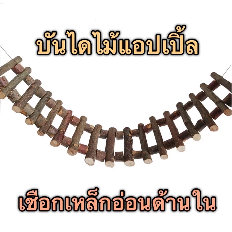 F-8 บันไดไม้แอปเปิ้ล 30ซม 40ซม 60ซม พร้อมเชือกเหล็กอ่อนด้านใน สำหรับนกแก้ว แกสบี้ กระรอก ชูการ์ไกรเดอร์