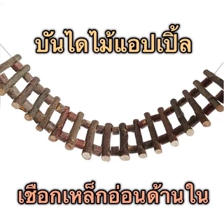 F-8 บันไดไม้แอปเปิ้ล 30ซม 40ซม 60ซม พร้อมเชือกเหล็กอ่อนด้านใน สำหรับนกแก้ว แกสบี้ กระรอก ชูการ์ไกรเดอร์