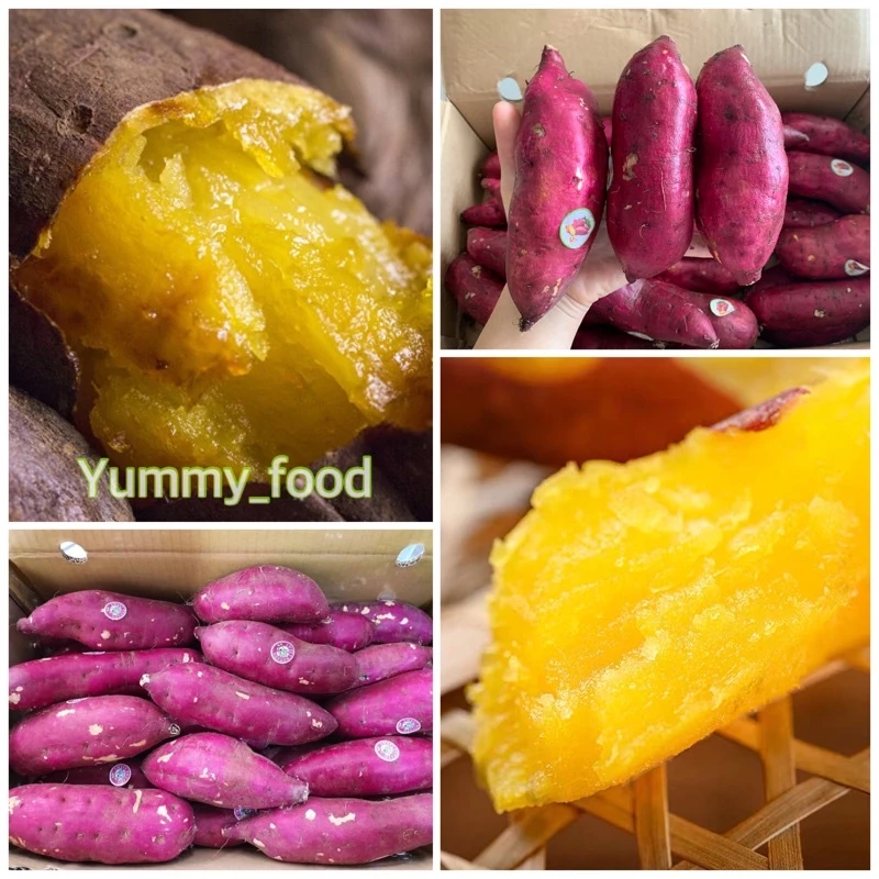 พร้อมส่ง‼️1KG มันหวานญี่ปุ่นสด เบนิฮารุกะปลูกเวียดนาม sweet potato