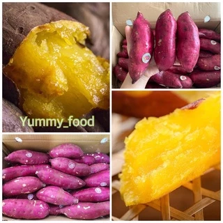 พร้อมส่ง‼️1KG มันหวานญี่ปุ่นสด เบนิฮารุกะปลูกเวียดนาม sweet potato