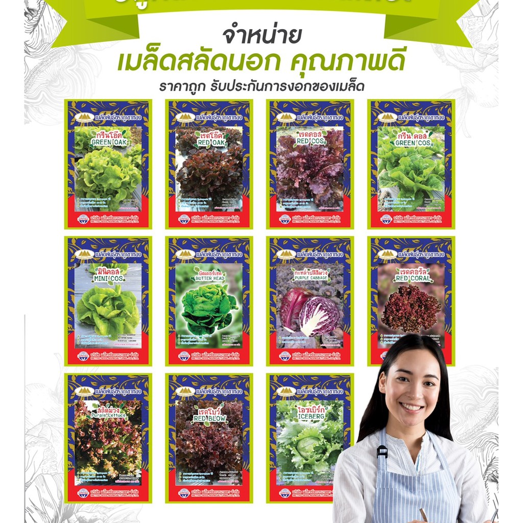 เมล็ดผักสลัดนอกคัดพิเศษ กรีนโอค เรดโอค เรดโบว์ กรีนโบว์ คอส มินิคอส ไอซ์เบริ์ก