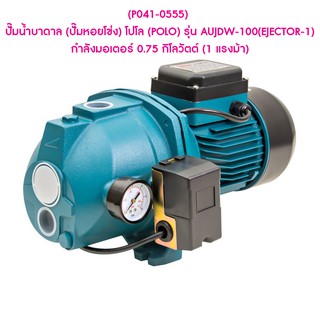 ** (P041-0555) ปั๊มน้ำบาดาล (ปั๊มหอยโข่ง) โปโล (POLO) รุ่น AUJDW-100(EJECTOR-1) กำลังมอเตอร์ 0.75 กิโลวัตต์ (1 แรงม้า)