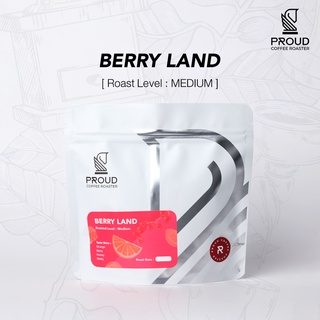 เมล็ดกาแฟคั่วกลาง Colombia/Ethiopia Blend : Berry Land - CBE (200 g)