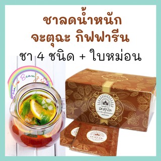 ชาลดน้ำหนัก จะตุฉะ กิฟฟารีน Jatu Cha Giffarine Weight loss teas ชาขาว ชาเขียว ชาดำ ชาอู่หลง ชาใบหม่อน