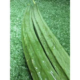 บวบเหลี่ยมสด 🥬 - บวบเขียว ผักผลไม้