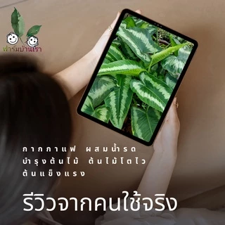 กากกาแฟ บรรจุ 1 กิโลกรัม ใส่ ต้นไม้ กากกาแฟสด บำรุงดิน บำรุงต้นไม้ ปุ๋ยอินทรีย์ ตากแห้ง พร้อมใช้ ไม่ร้อน รอนละเอียด
