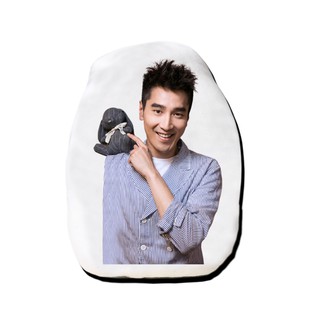 หมอนไดคัท สั่งทำ ตุ๊กตา ตุ๊กตาหน้าเหมือน หมอนตุ๊กตา เจ้าโย่วถิง Mark Chao เยี่ยหัว สามชาติสามภพป่าท้อสิบหลี่