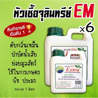 x6 EM หัวเชื้อจุลินทรีย์ อีเอ็มชีวภาพ (ขนาด1ลิตร x6)