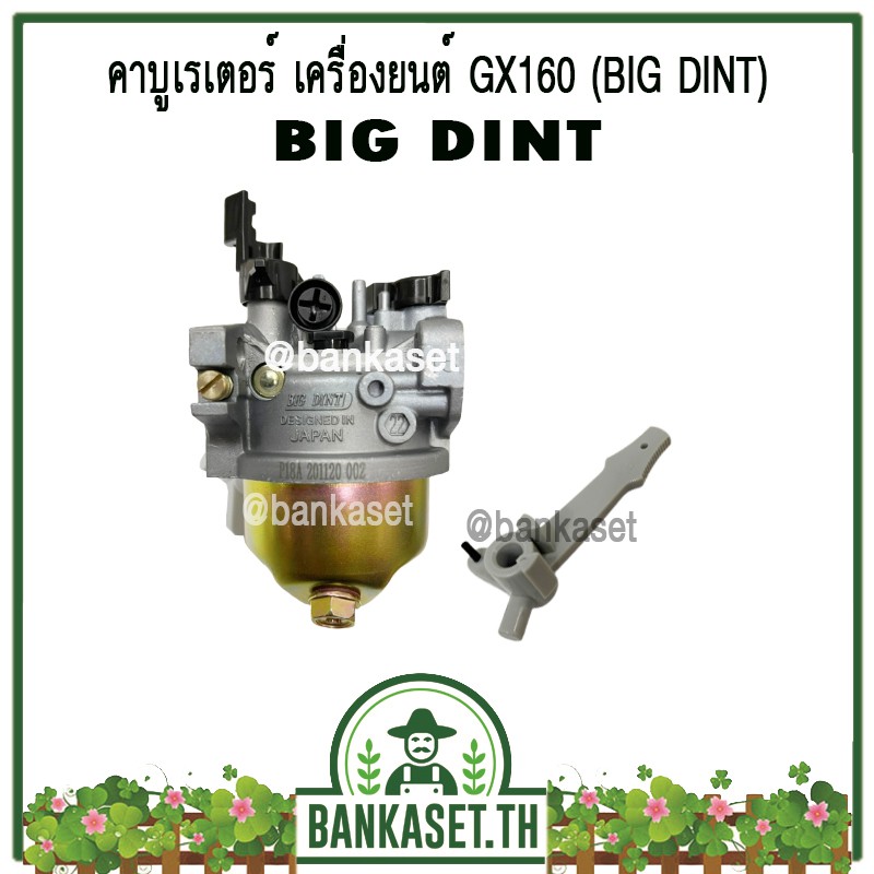 My Image 12