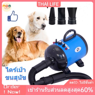 ไดร์เป่าขนสุนัข ไดร์เป่าขนหมา 2800W ไดร์เป่าขนสัตว์ เครื่องเป่าขน ไดร์ไล่น้ำ ไดร์เป่าขนสัตว์ ไดร์เป่าขนหมา