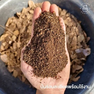 🍂🍂 ใบก้ามปูหมัก ดินใบก้ามปู ร่อนละเอียด ร่อนหยาบ ใบ ธาตุอาหารไนโตรเจนสูง ขนาด 1กิโลกรัม 🍂🍂