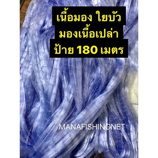 อวนเอ็น 3.8 เซ็น ลึก 75 ตา (2.8 เมตร) ป้าย 180 เมตร เอ็น 0.15 🔺 ตาข่ายดักปลา เนื้ออวน มองดักปลา เนื้อเปล่า