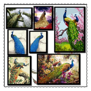 40*50 cm DIYภาพวาดสีน้ำมัน ภาพระบายสีตามตัวเลข Painting By Numbers on Canvas Peacock