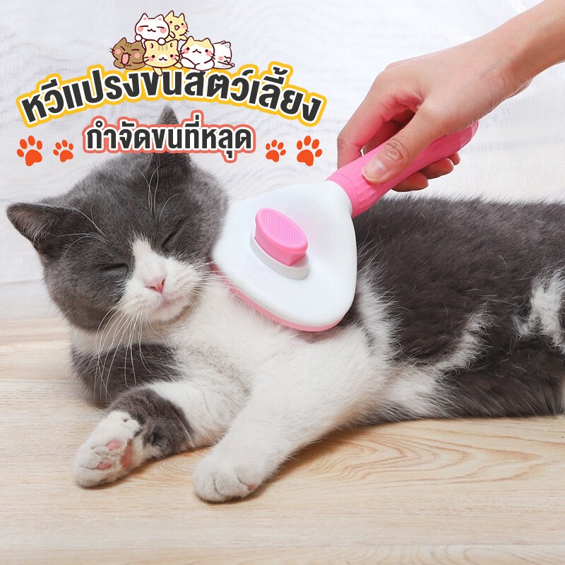 No.99 แปรงขนแมว แปรงขนสุนัข เหมาะสำหรับกำจัดขนหลุด มขน และสำหรับนวด มีปุ่มกดเพื่อดันขนออก
