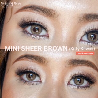 🍊Mini Sheer Brown🍊(Dia.14.2)สายตา-1.25,-2.25,-5.00,-5.50,-6.50,-9.00(kitty  kawaii)