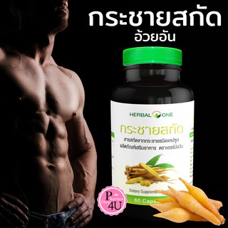 กระชายสกัด 60แคปซูล อ้วยอันโอสถ เฮอร์บัลวัน Herbal One อ้วยอัน  Finger Root Extract