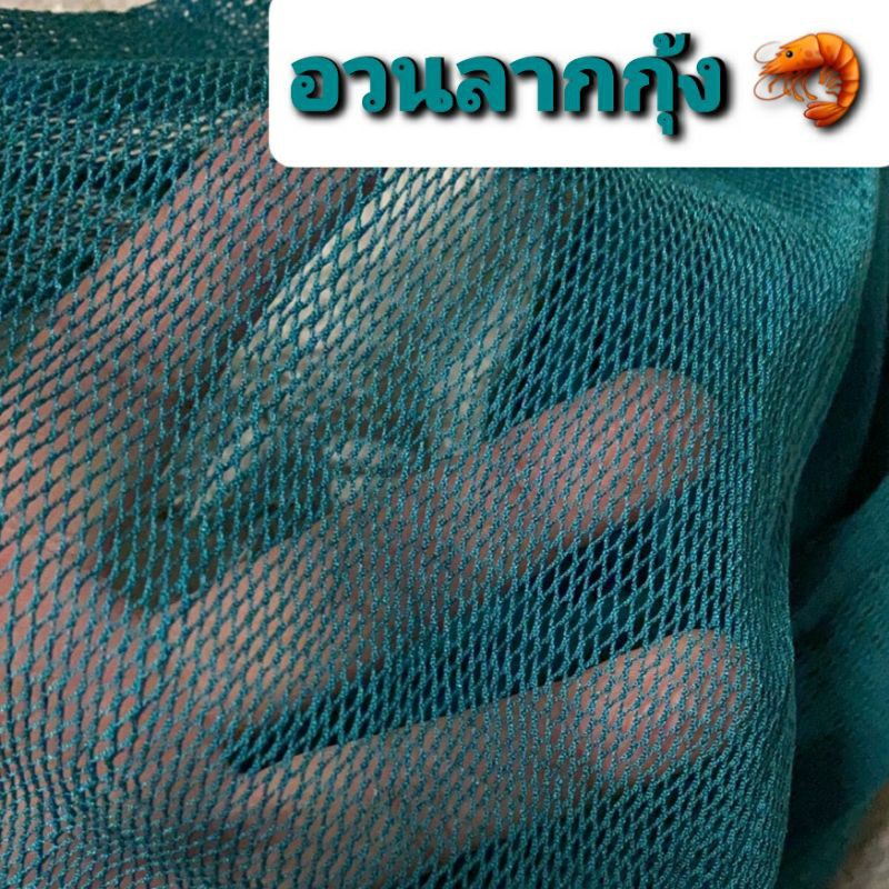 My Image 42