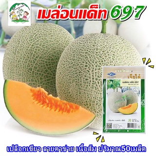 เมล็ดเมล่อนเเค็ท697 ปริมาณ50เมล็ด เมล็ดเมล่อน เมล็ดพันธุ์เมล่อน เมล่อน ตราเครื่องบิน เจียไต๋