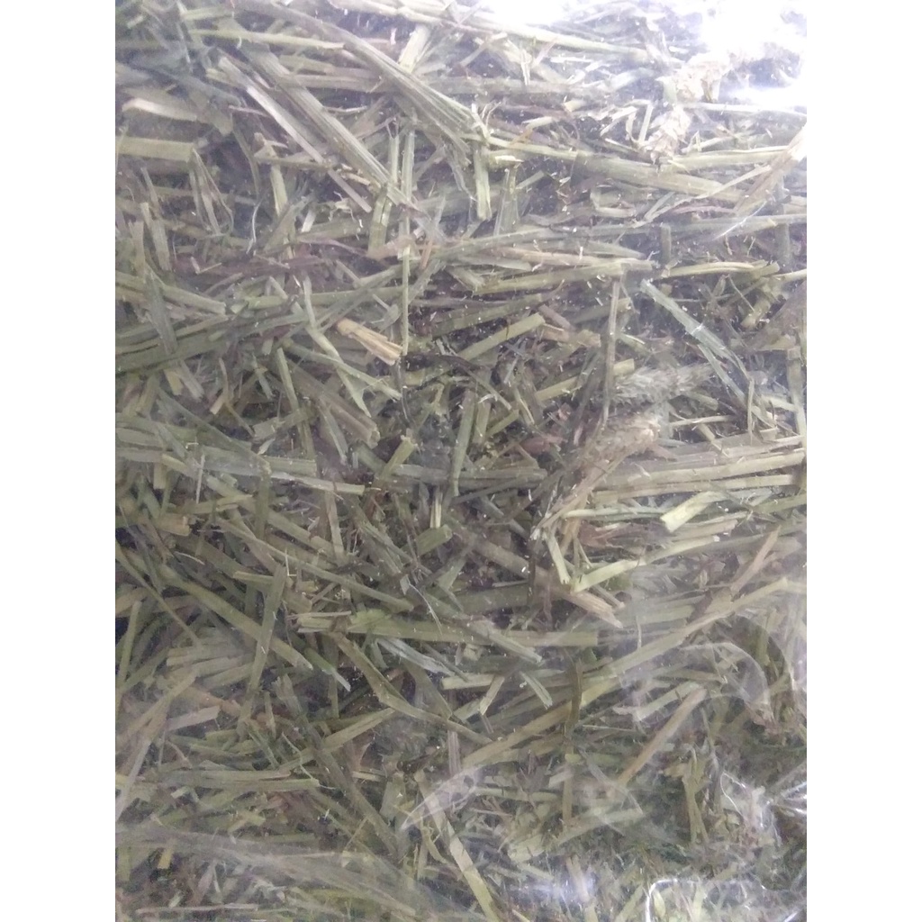 SALE หญ้ากระต่าย ราคาพิเศษ ถูกกว่านี้ไม่มีอีกแล้ว  ทิโมธี เกรดธรรมดา ครึ่งก.ก. (500กรัม)เพียง 39 บาท  หญ้าเขียว ใหม่ หอม