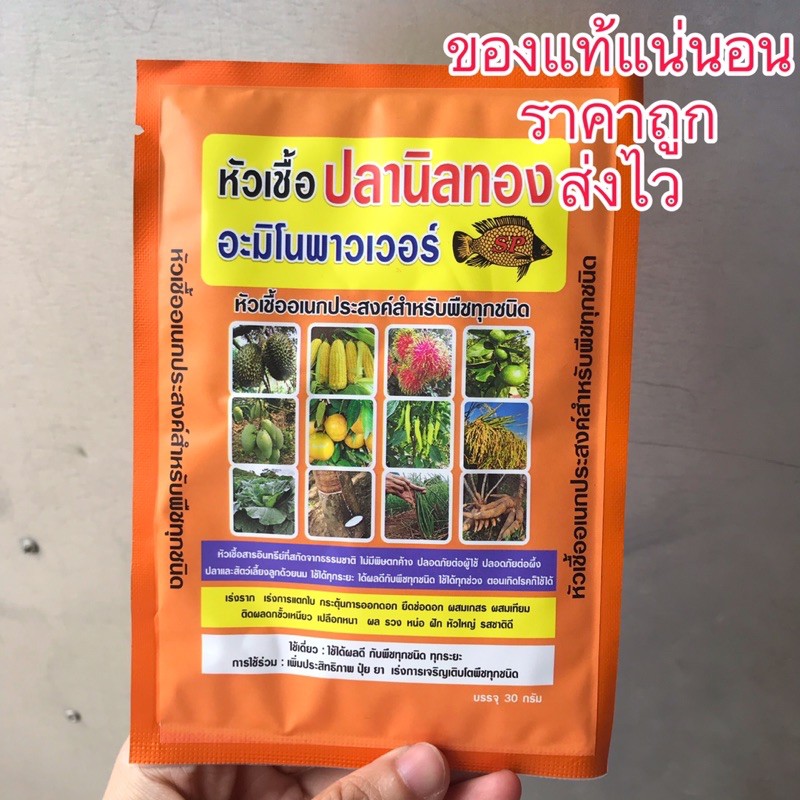 หัวเชื้ออเนกประสงค์ ปลานิลทอง อะมิโนพาวเวอร์