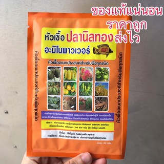 หัวเชื้ออเนกประสงค์ ปลานิลทอง อะมิโนพาวเวอร์