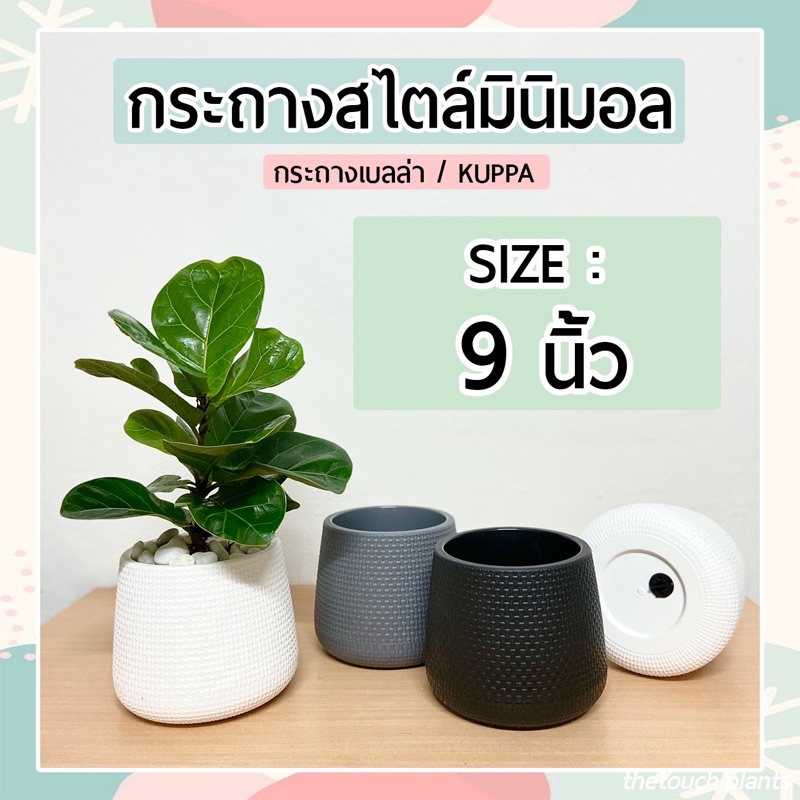 กระถางต้นไม้มินิมอล 9 นิ้ว มีจานรองในตัวกระถางทรงโมเดิร์นหยดน้ำ Minimal เบลล่า Kuppa
