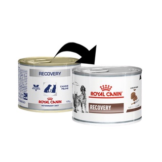 Royal canin Recovery 195g สำหรับแมวป่วย พักฟื้น เบื่ออาหาร ทานง่าย เนื้อละเอียด