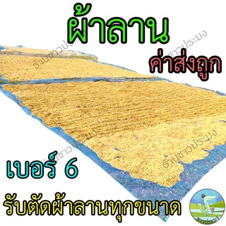 ผ้าลานตากข้าว เบอร์ 6 ผ้าลาน มุ้งไนล่อน ผ้ามุ้ง ลาน ตากข้าว เย็บสำเร็จ พร้อมใช้งาน