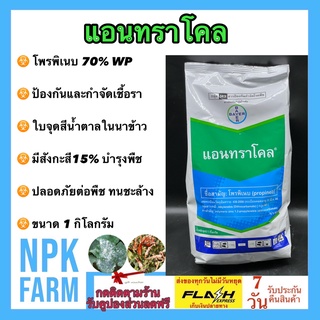 แอนทราโคล 1 กิโลกรัม โพรพิเนบ 70% สารป้องกันกำจัดโรคใบจุดสีน้ำตาล โรคใบไหม้ โรคแอนแทรคโนส โรคราน้ำค้าง มีธาตุสังกะสี 15%