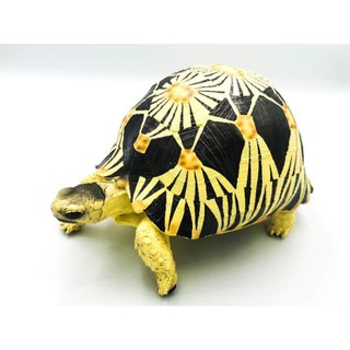 โมเดลเต่าเรซิ่น เต่าราเดียตา yellow radiated tortoise ขนาด​ 15x12x12 ซม