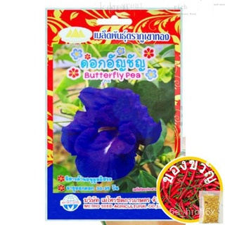 Aor99 เมล็ดพันธุ์ ดอก อัญชัน Butterfly pea seed Flowers Seeds มีสารต้านอนุมูลอิสระ ปลูกง่าย อัญชันม่วง กลีบซ้อน เมล็ดอัญ