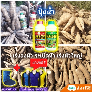 🆓ส่งฟรีไม่ใช้โค๊ด ปุ๋ยน้ำ บูม99 ระเบิดหัวมันสำปะหลัง เร่งหัว เร่งแป้ง ปุ๋ยมันสำปะหลัง