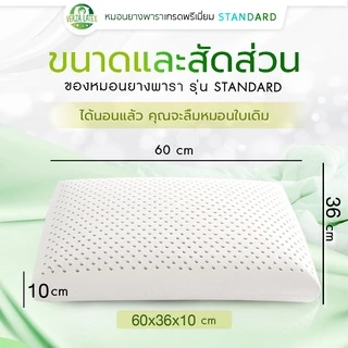 VERZA LATEX หมอนยางพาราแท้ รุ่น Standard พร้อมปลอกขอบทองหรูหรา ถอดซักได้ รับประกัน 10 ปี