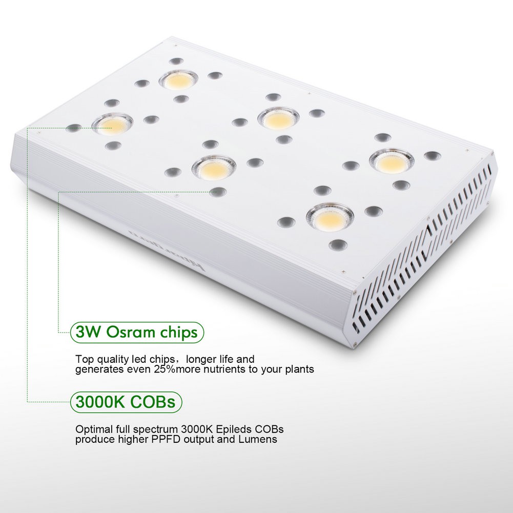 Cob Led Grow Lights South Africa Shelly Lighting