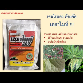 เอราไมท์ 20 สารกำจัดไรแดง แบบสัมผัสตัวตาย!! ขนาด 100 กรัม