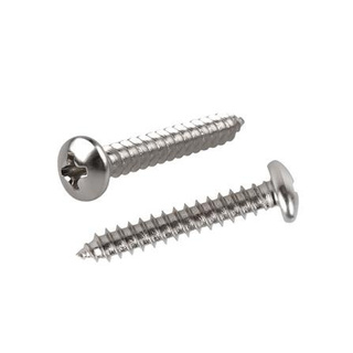 อุปกรณ์ยึดติด สกรูเกลียวปล่อย TP 8X1 นิ้ว 25 ตัว Screws, Nuts &amp; Washers