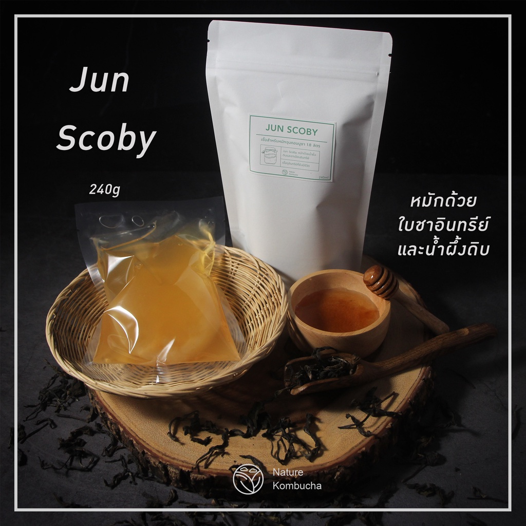 Scoby Jun Komcucha | หัวเชื้อ จุน คอมบูชา หรือแชมเปญแห่งคอมบูชา | Nature Kombucha