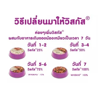 [2.7Kg-3Kg] WHISKAS® Dry Cat Food High Protein วิสกัส พ็อกเก็ตส์ อาหารแมว แบบเม็ด สำหรับแมวโต