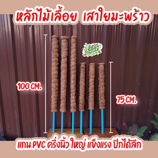 หลักไม้เลื้อย เสาใยมะพร้าว เสาไม้เลื่อย อุปกรณ์ไม้ประดับ แข็งแรง เสา PVCหนา แข็งแรงไม่เป็นเชื้อรา