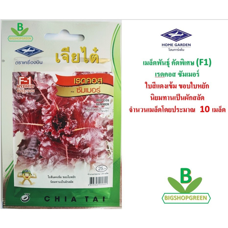 5 ฟรี 1 คละได้ เมล็ดพันธุ์ เรดคอส ซัมเมอร์ ตราเจียไต๋ เมล็ดพันธุ์คัุดพิเศษ F1 เมล็ดผัก เมล็ดพันธุ์พืช เมล็ดพืช